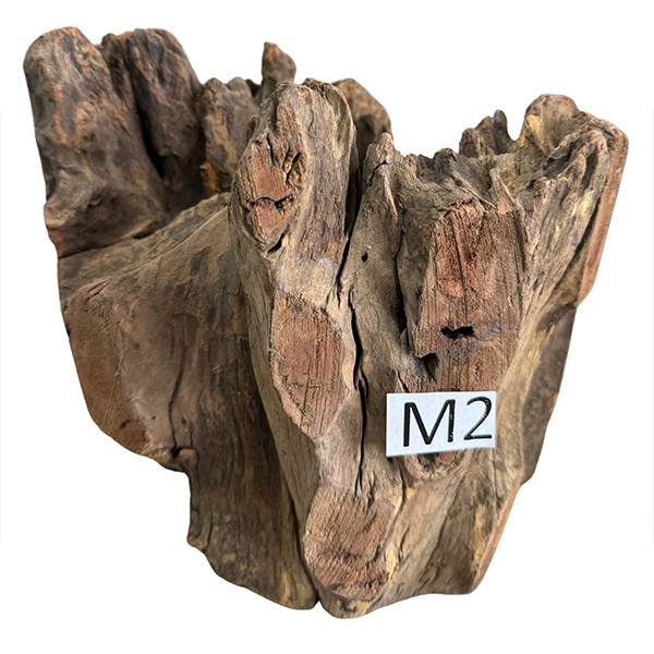 Creaqua Stump Wood Dekor Ağaç Gövdesi M 20-30 Cm