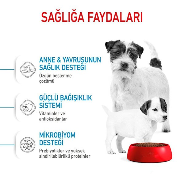 Royal Canin Mini Starter Mother&Babydog Küçük Irk Yavru Köpek Maması 4Kg