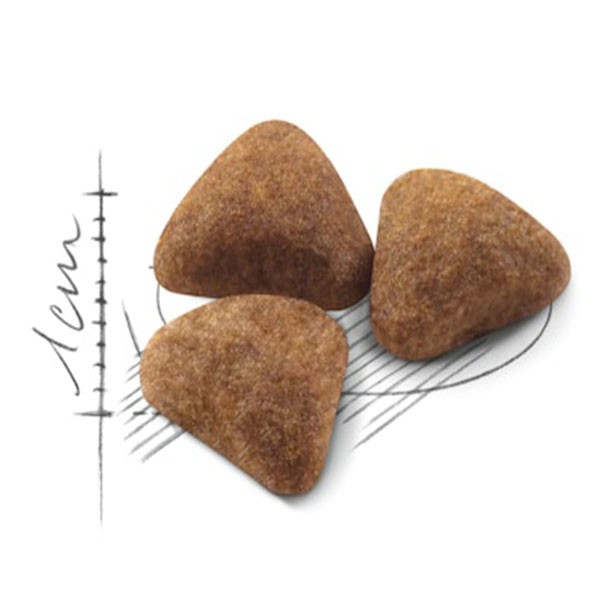 Royal Canin Home Indoor Evde Yaşayan Yetişkin Kedi Maması 2Kg