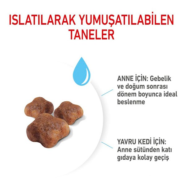 Royal Canin Mother Babycat Yavru Kedi Maması Paketten Bölme 1 Kg