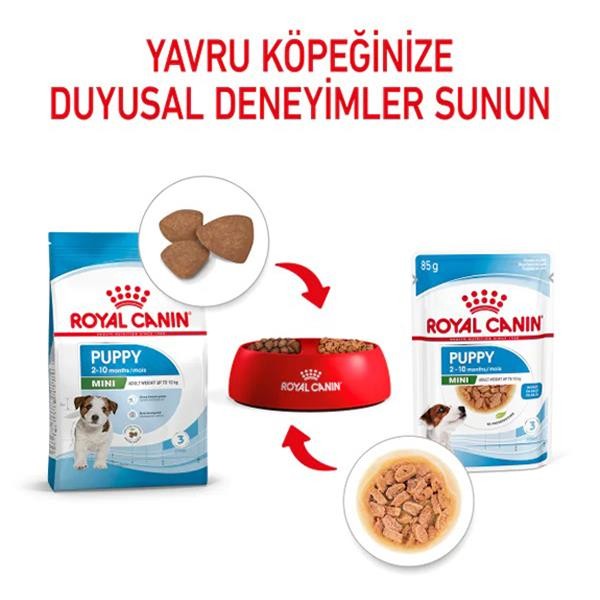 Royal Canin Mini Puppy Küçük Irk Yavru Köpek Konservesi 85gr