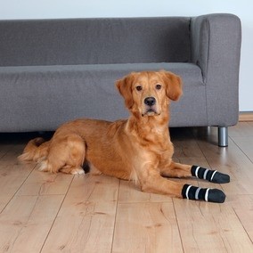 Trixie Köpek Çorabı Kaymaz Xs-S 2 Adet