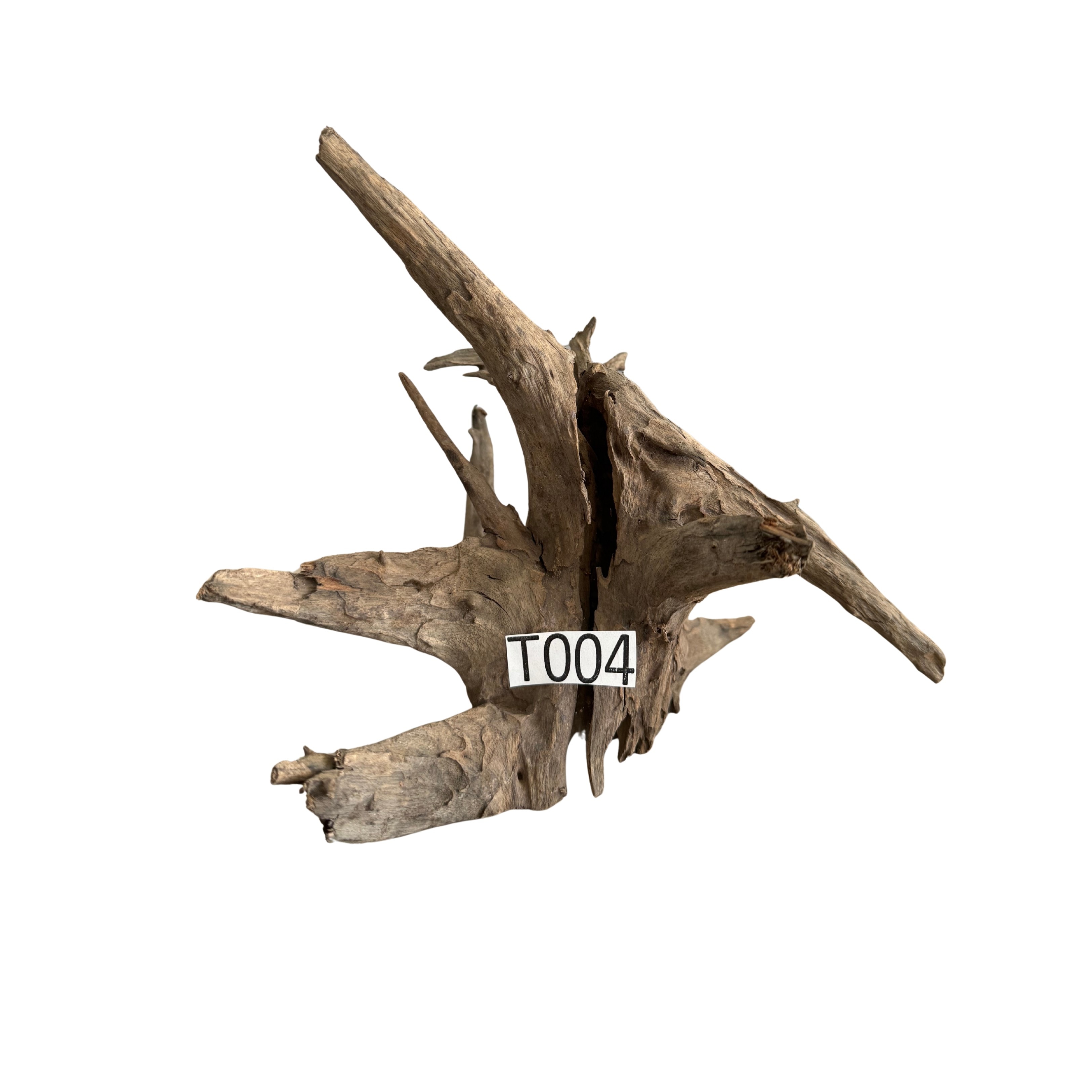 Creaqua Tree Root Dekor Ağaç Dalı 10-25 Cm - Tree Wood 4