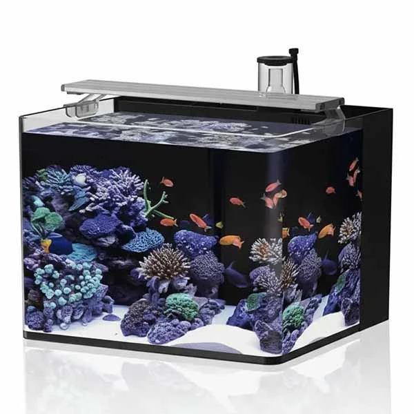 Haqos Sea Tank 38 Tuzlu Su Akvaryumu 30Lt