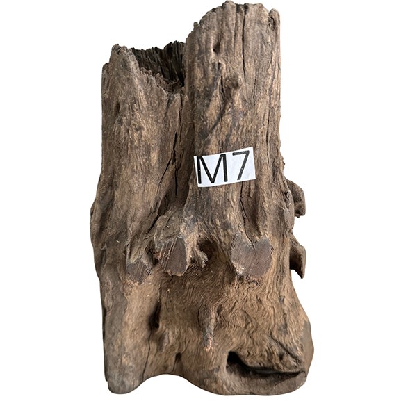 Medium 7