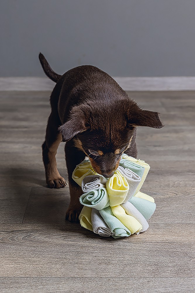 Beeztees Köpek Ödül Saklama Oyuncağı, Top, Polar, Gri/Yeşil, 13cm