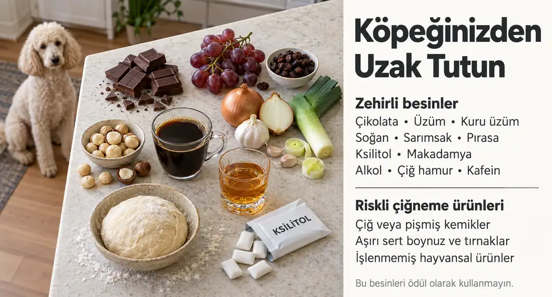 Dikkat Gerektiren Çiğneme Ürünleri