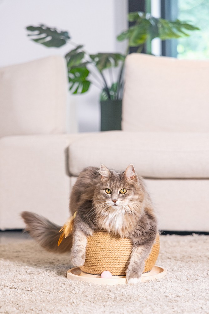 Beeztees DBL Kedi Tırmalama ve Oyuncağı, 29,5x29,5x22cm