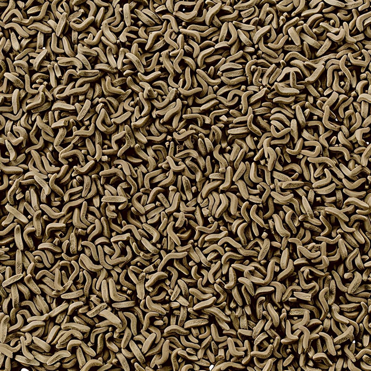 Tetra ReptoMin Kaplumbağa Yemi 100 ml