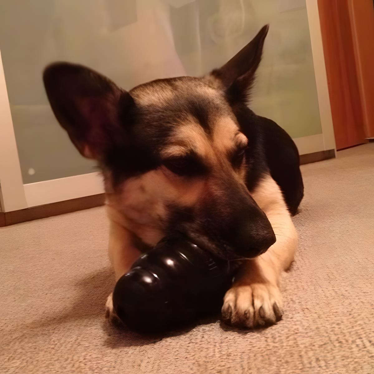 Kong Extreme Köpekler İçin Çok Amaçlı Isırma Oyuncağı Ultra Sert XXL