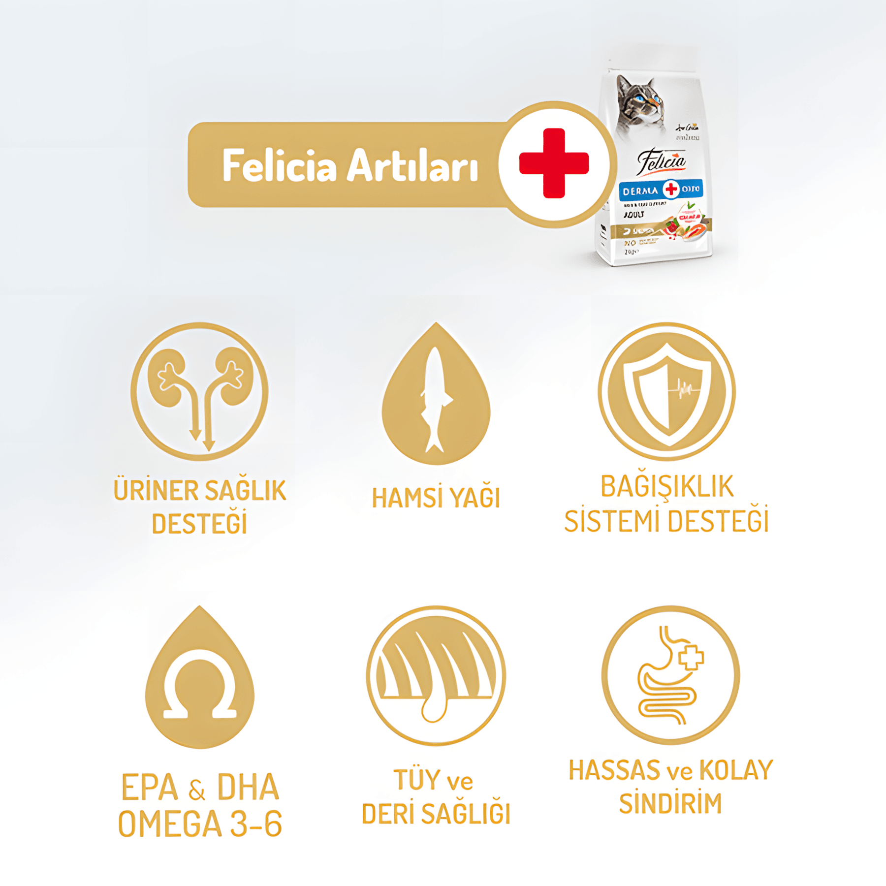 Felicia Az Tahıllı Somon Balıklı Hypoallergenic Kolajenli Kısırlaştırılmış Kedi Maması 12Kg