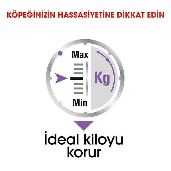 Royal Canin All Sizes Sterilised Pouch Kısır Köpek Maması 85gr