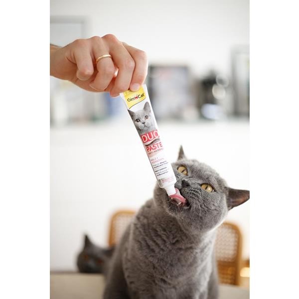 Gimcat Duo Paste Tavuklu Multi-Vitamin Kedi Macunu 50gr