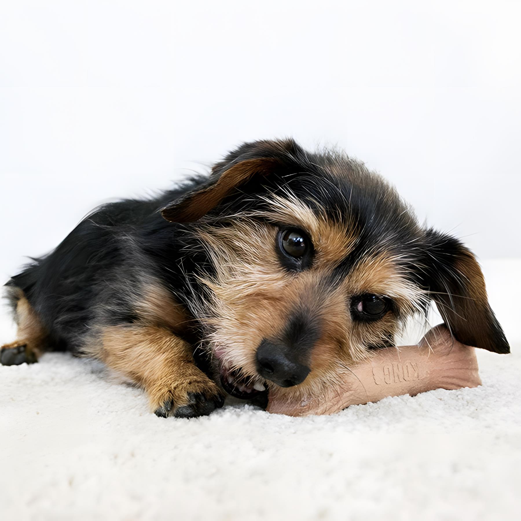 Kong ChewStix Ağaç Dalı Şeklinde Köpek Oyuncağı M