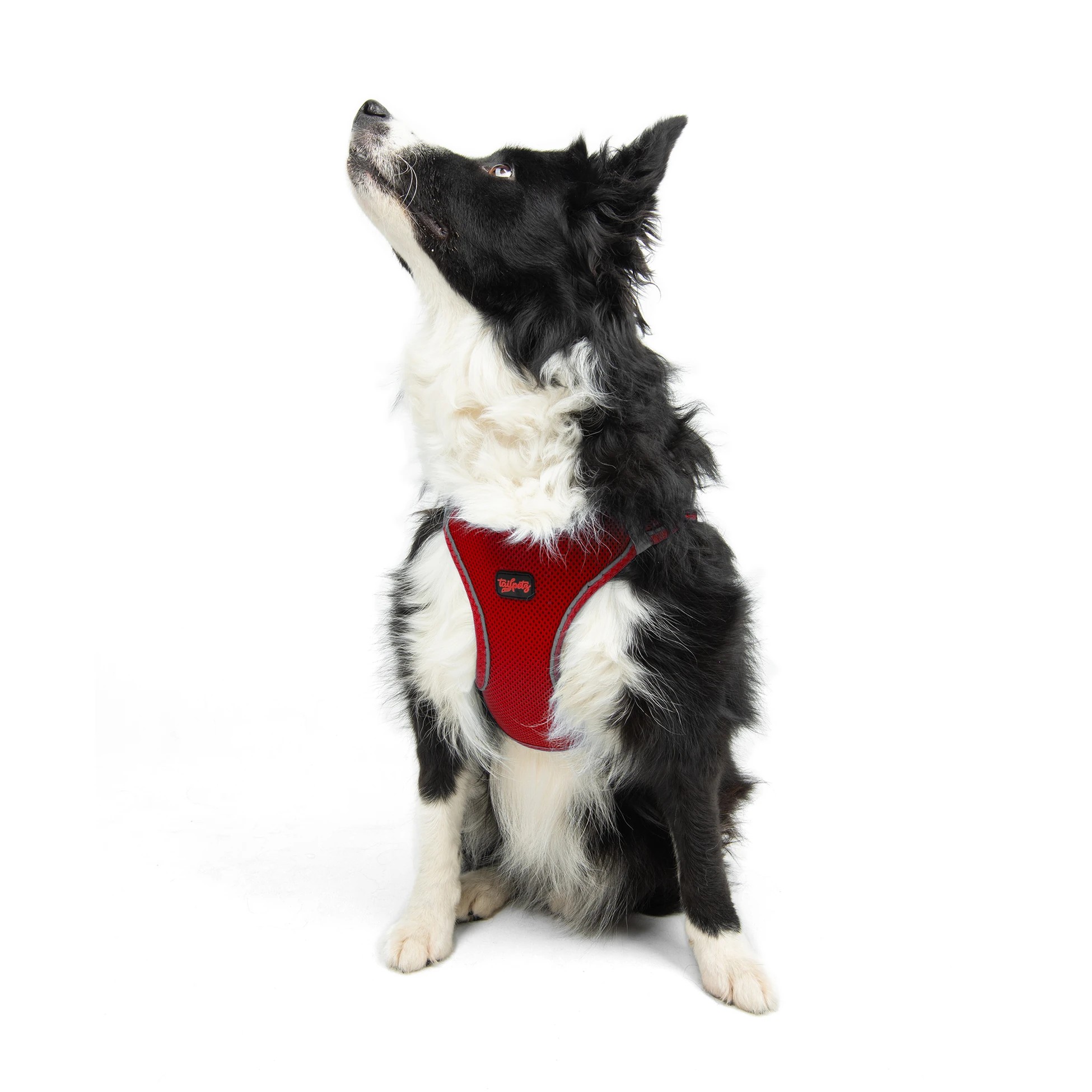 Tailpetz Air-Mesh Harness Red XL