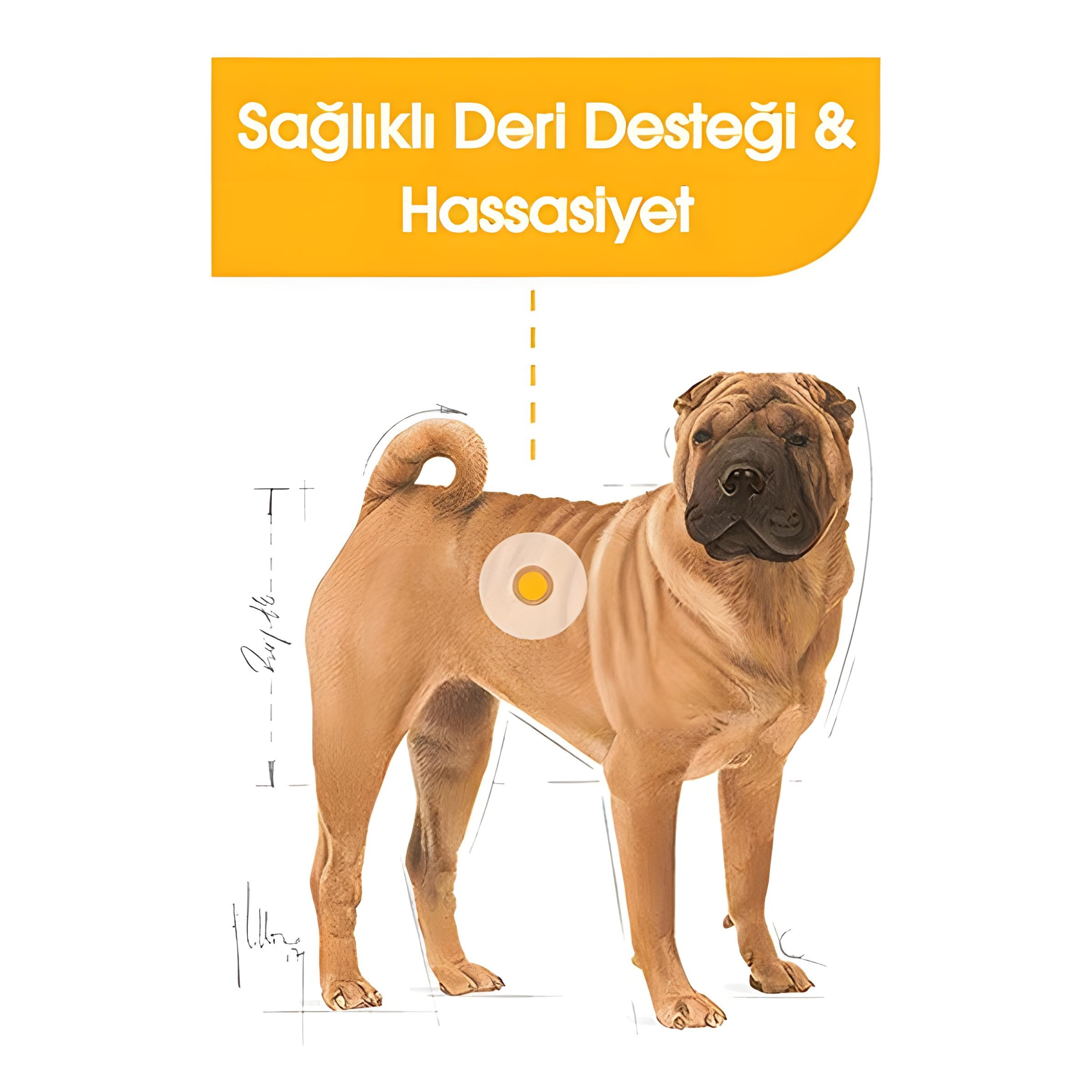 Royal Canin Adult Medium Dermacomfort Yetişkin Köpek Maması 12Kg