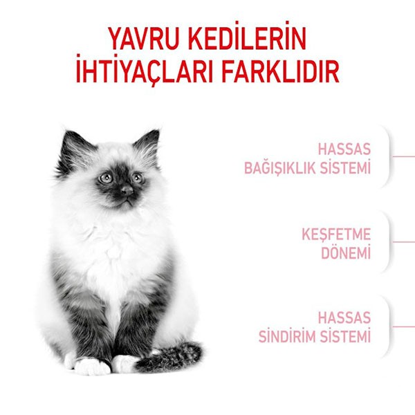 Royal Canin Kitten 36 Yavru Kedi Maması 4 Kg