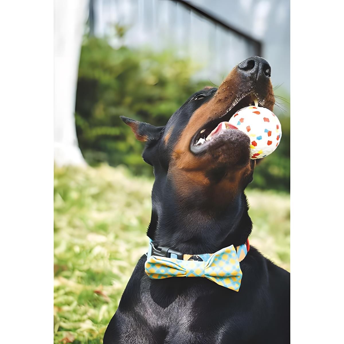 M-Pets Bloom Ball Oyun Topu Parçalanmaz
