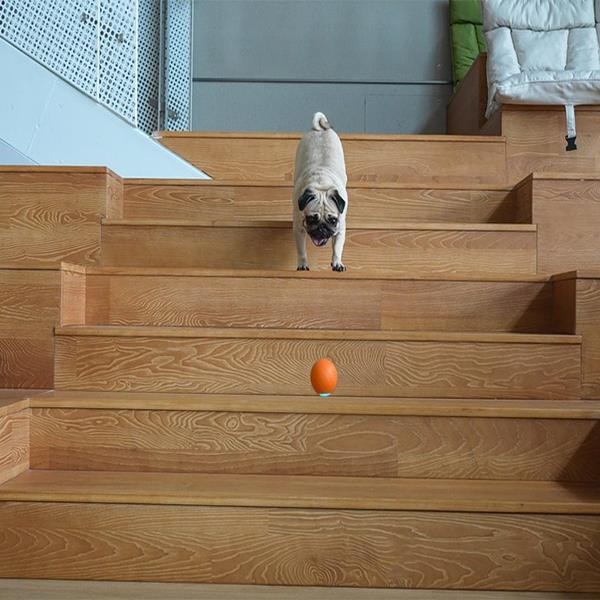 Cheerble Şarjlı Akıllı İnteraktif Köpek Oyun Topu Turuncu Small 5,5cm