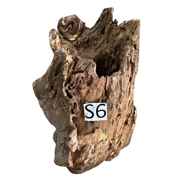 Creaqua Stump Wood Dekor Ağaç Gövdesi S 10-20 Cm