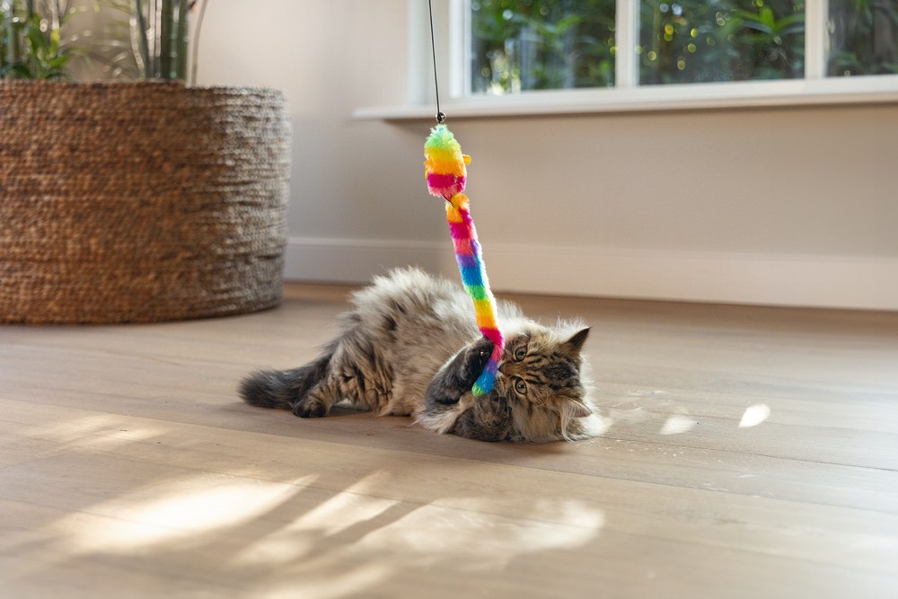 Beeztees Kedi Oltası, Zilli, Peluş Oyuncaklı,