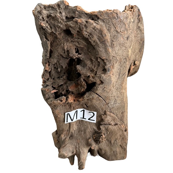 Medium 12