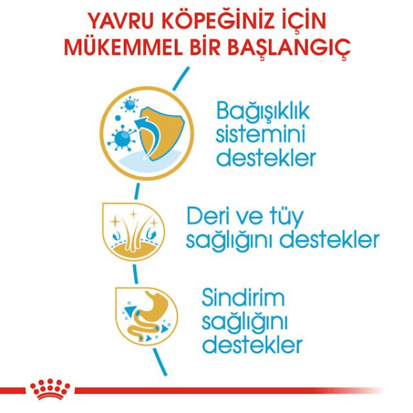 Royal Canin Cocker Junior Yavru Köpek Maması 3 Kg