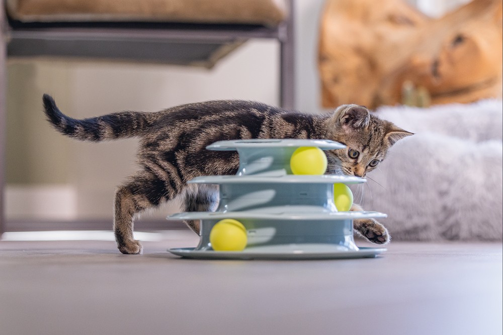 Beeztees Yavru Kedi Oyuncağı, 3 Katlı, 25x25x13cm