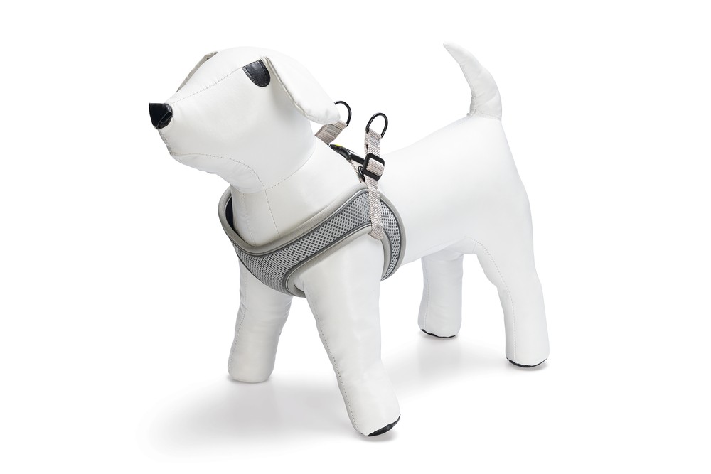 Beeztees Köpek Göğüs Tasması, Neopren, Gri, S, 38-44cm