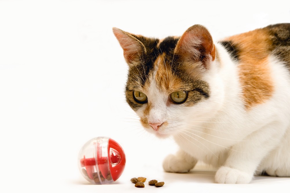 Beeztees Kedi Oyuncağı, Oyun ve Ödül Topu, 5,5cm