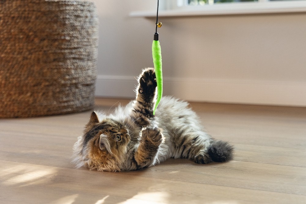 Beeztees Kedi Oltası, Zilli, Peluş Oyuncaklı, Çeşitli Renklerde,
