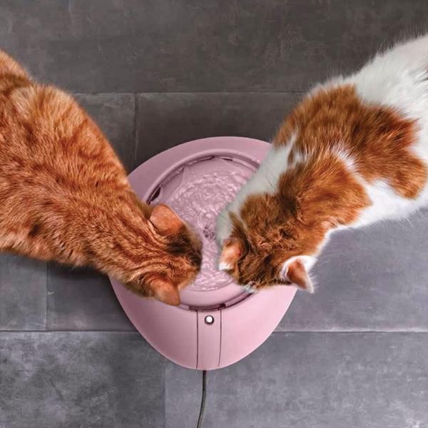 Imac Pet Fountain Otomatik Kedi Köpek Su Kabı Mavi 220V