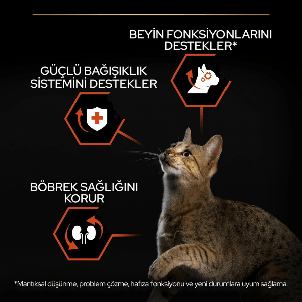 Pro Plan Adult Somonlu Yetişkin Kedi Maması 1,5Kg