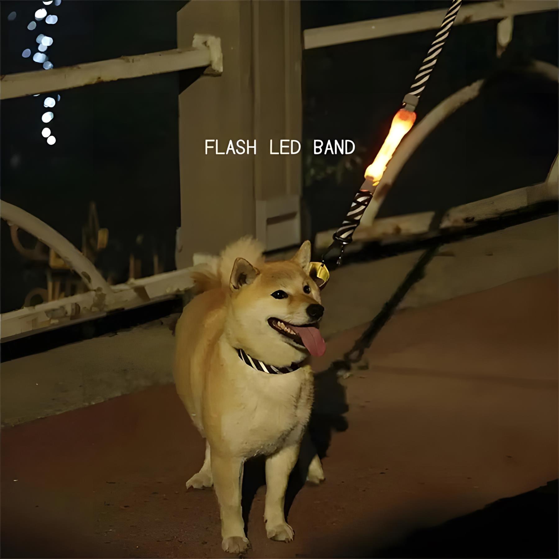 M-Pets Flash Ledli Band Yeşil