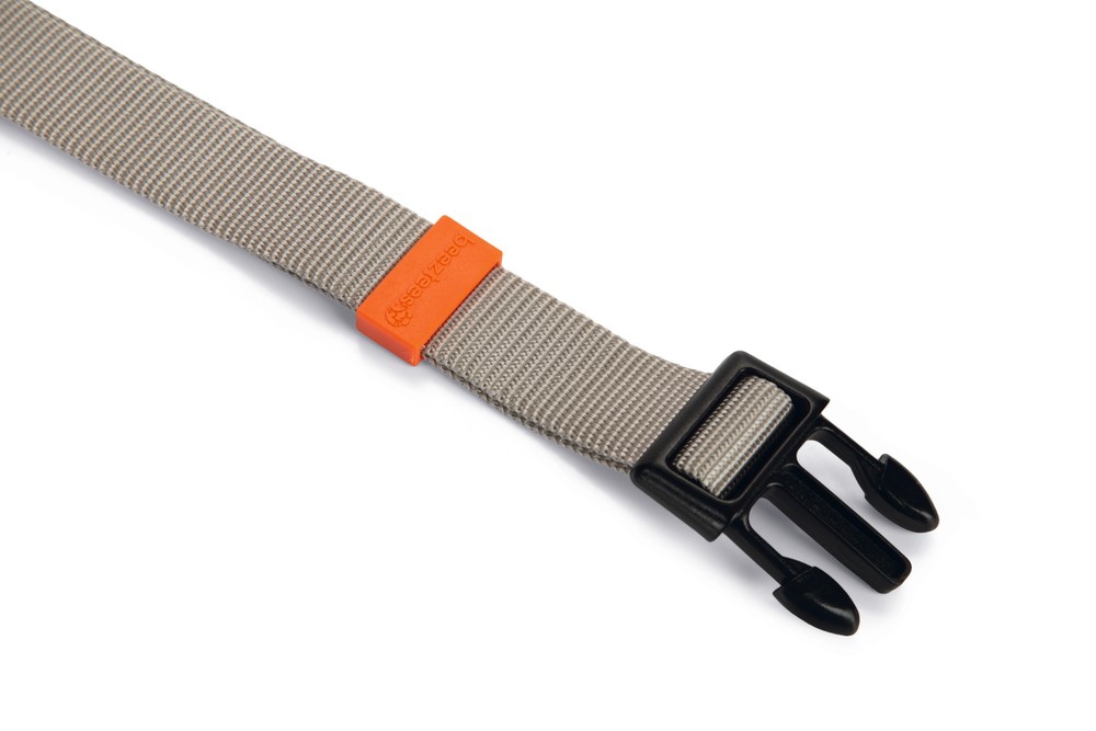 Beeztees Köpek Boyun Tasması, Açık Gri, 48-70cm