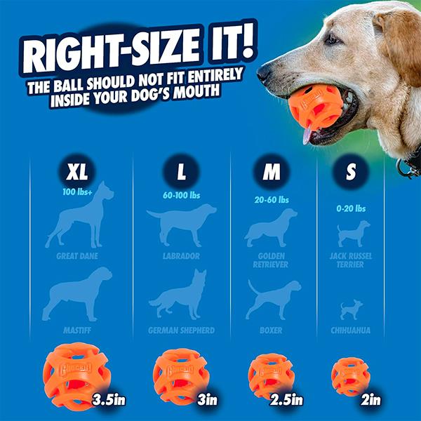 Chuckit Air Fetch Ball Köpek Oyun Topu XL Boy