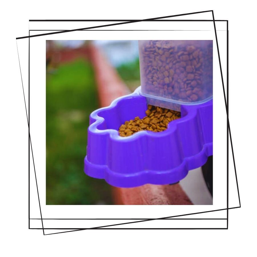 Saklamalı Mama ve Su Kabı Kullanımı