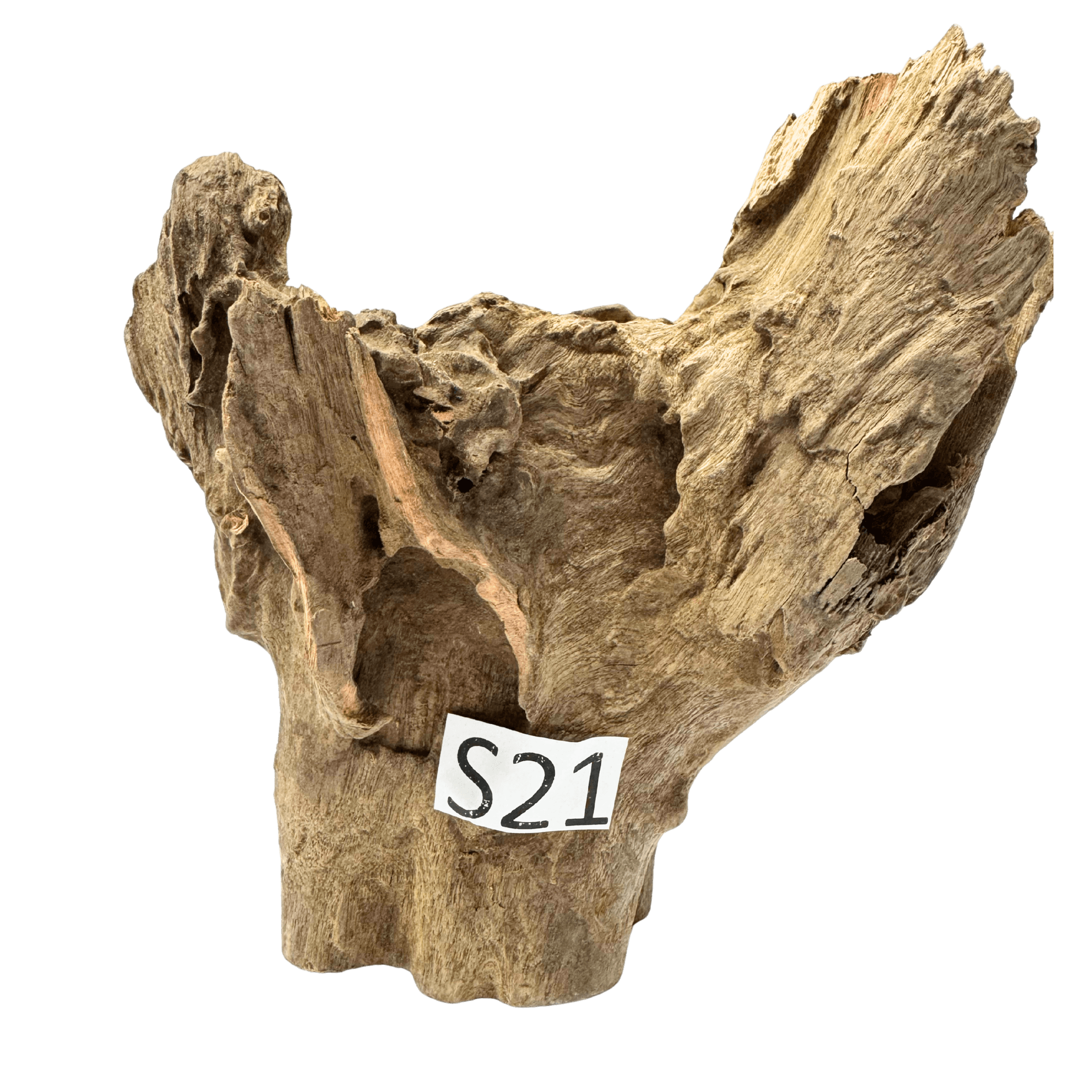 Creaqua Stump Wood Dekor Ağaç Gövdesi S 10-20 Cm - Small 21