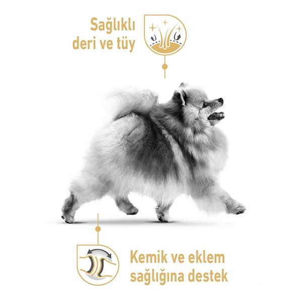 Royal Canin Adult Pomeranian Yetişkin Pouch Maması 85gr