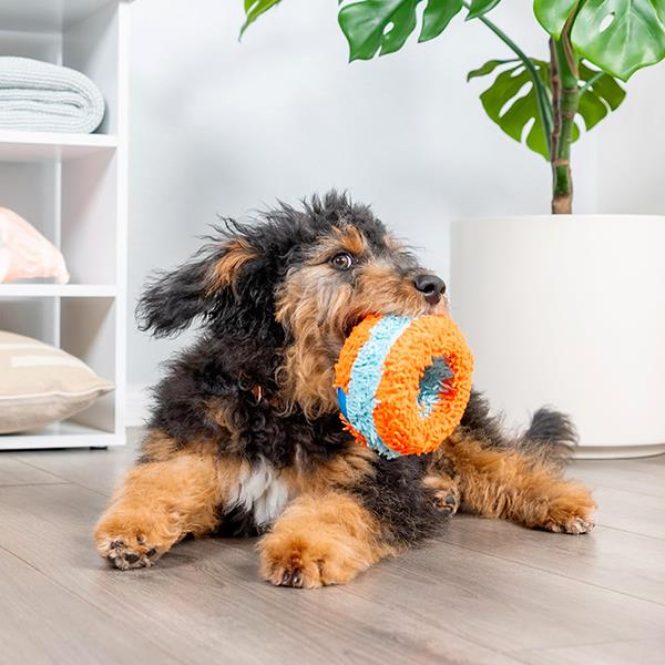 Chuckit Indoor Roller Ev İçi Yumuşak Köpek Oyun Topu