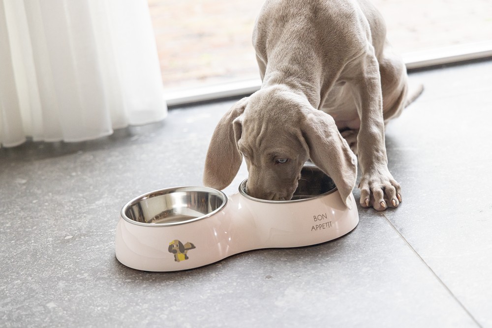Beeztees Köpek Mama Su Kabı, Paslanmaz Çelik, Pudra Pembe, 18cm, 350ml