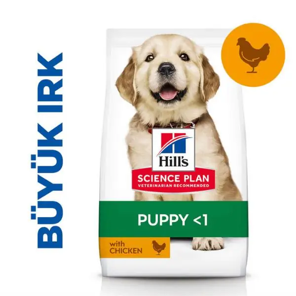 Hills Large Breed Puppy Tavuklu Yavru Köpek Maması 14,5Kg