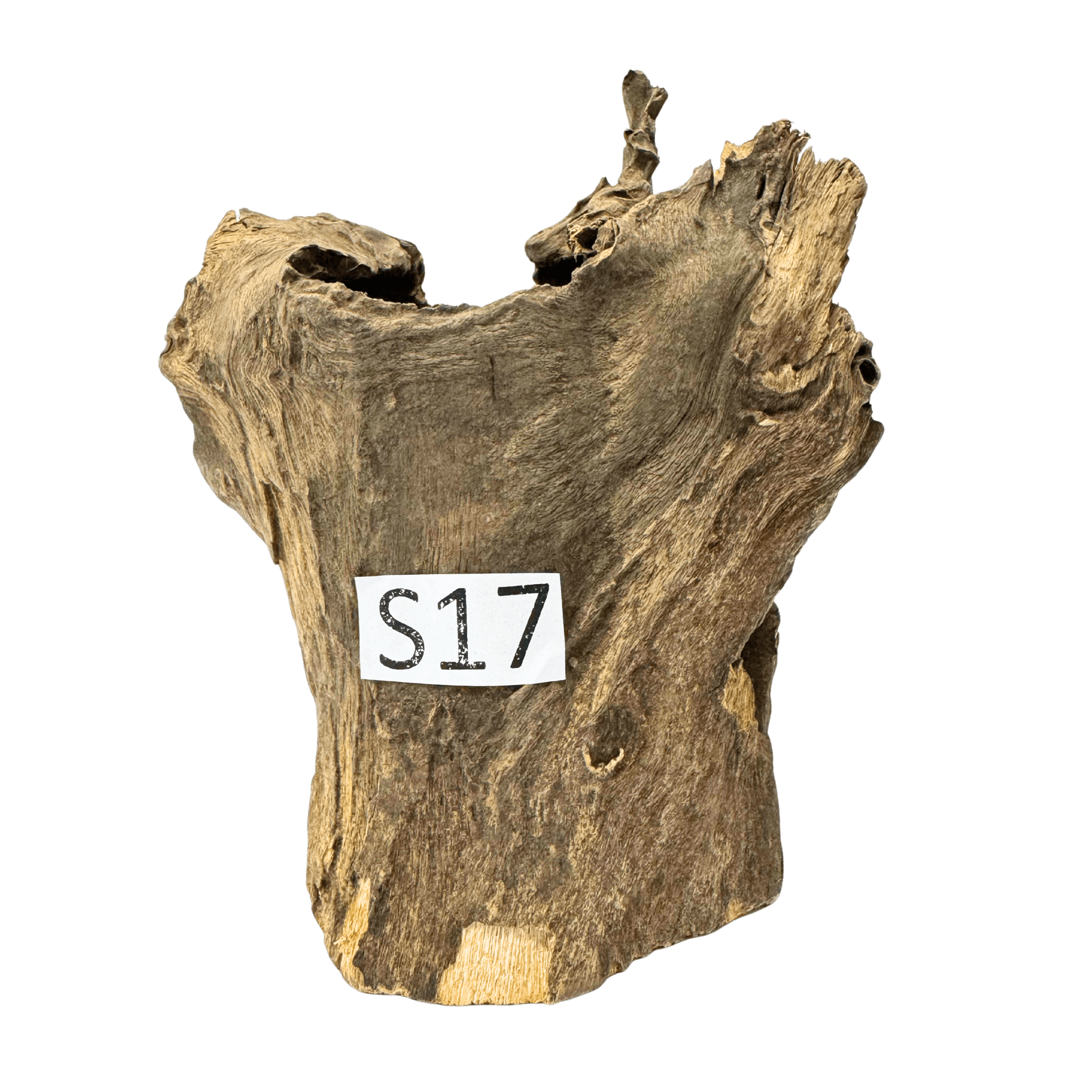 Small 17