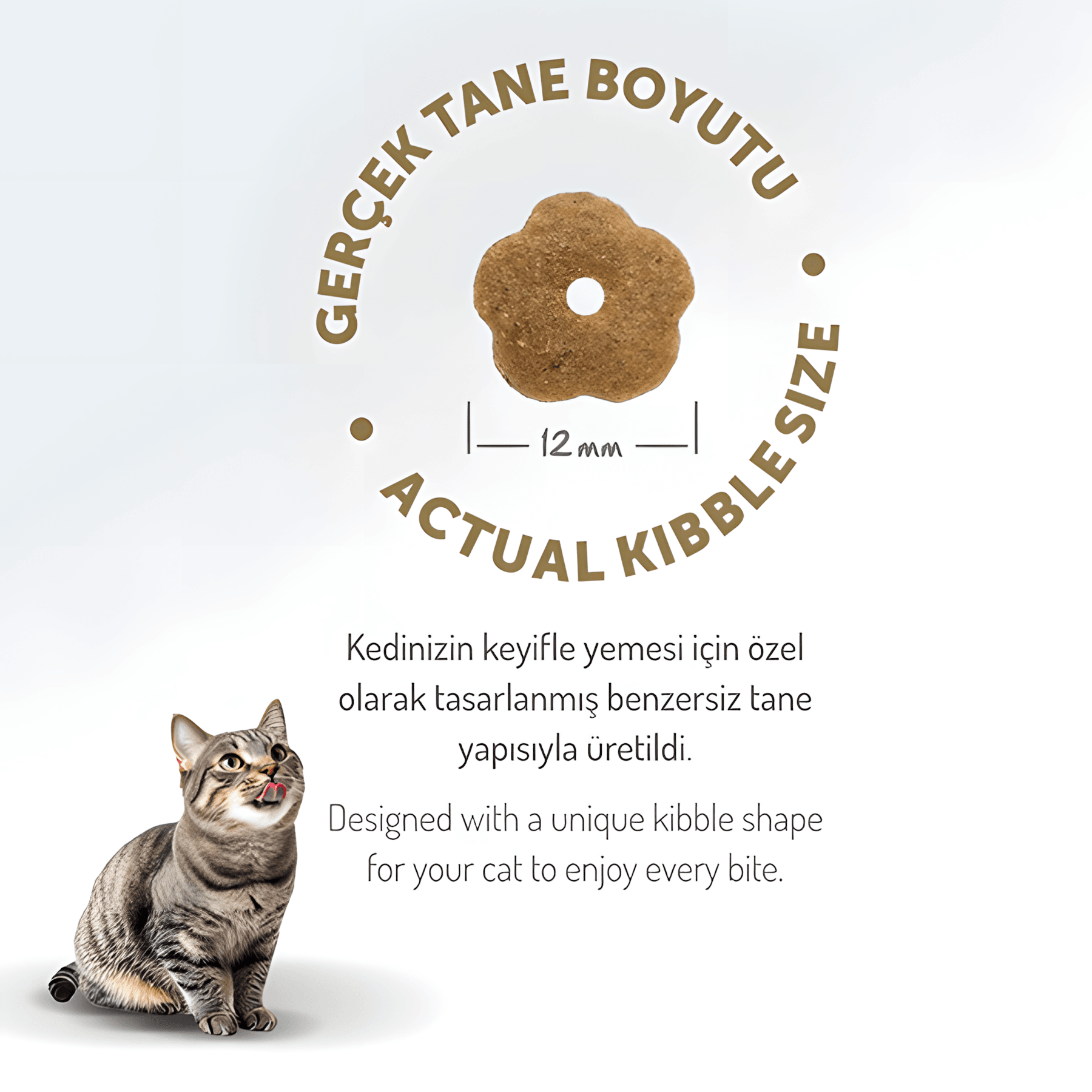 Felicia Az Tahıllı Tavuklu Hypoallergenic Kolajenli Yetişkin Kedi Maması 12Kg
