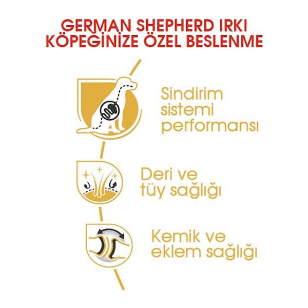 Royal Canin German Shepherd Alman Kurdu Yetişkin Köpek Maması 11Kg