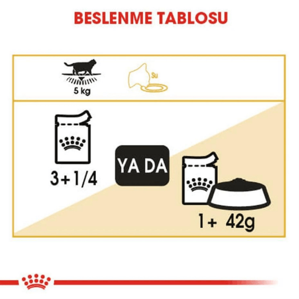 Royal Canin British Shorthair Adult Yetişkin Yaş Kedi Maması 85gr 12 Adet