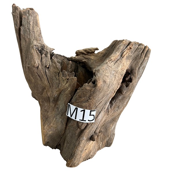 Medium 15