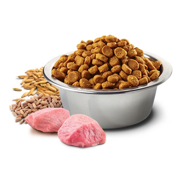 ND Düşük Tahıllı Kuzu Etli ve Yaban Mersinli Kısırlaştırılmış Yetişkin Kedi Maması Paketten Bölme 1 Kg