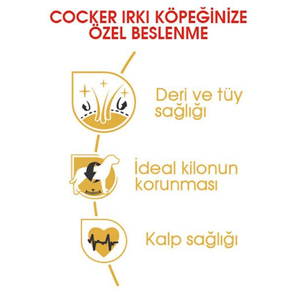 Royal Canin Cocker Yetişkin Köpek Maması 3 Kg