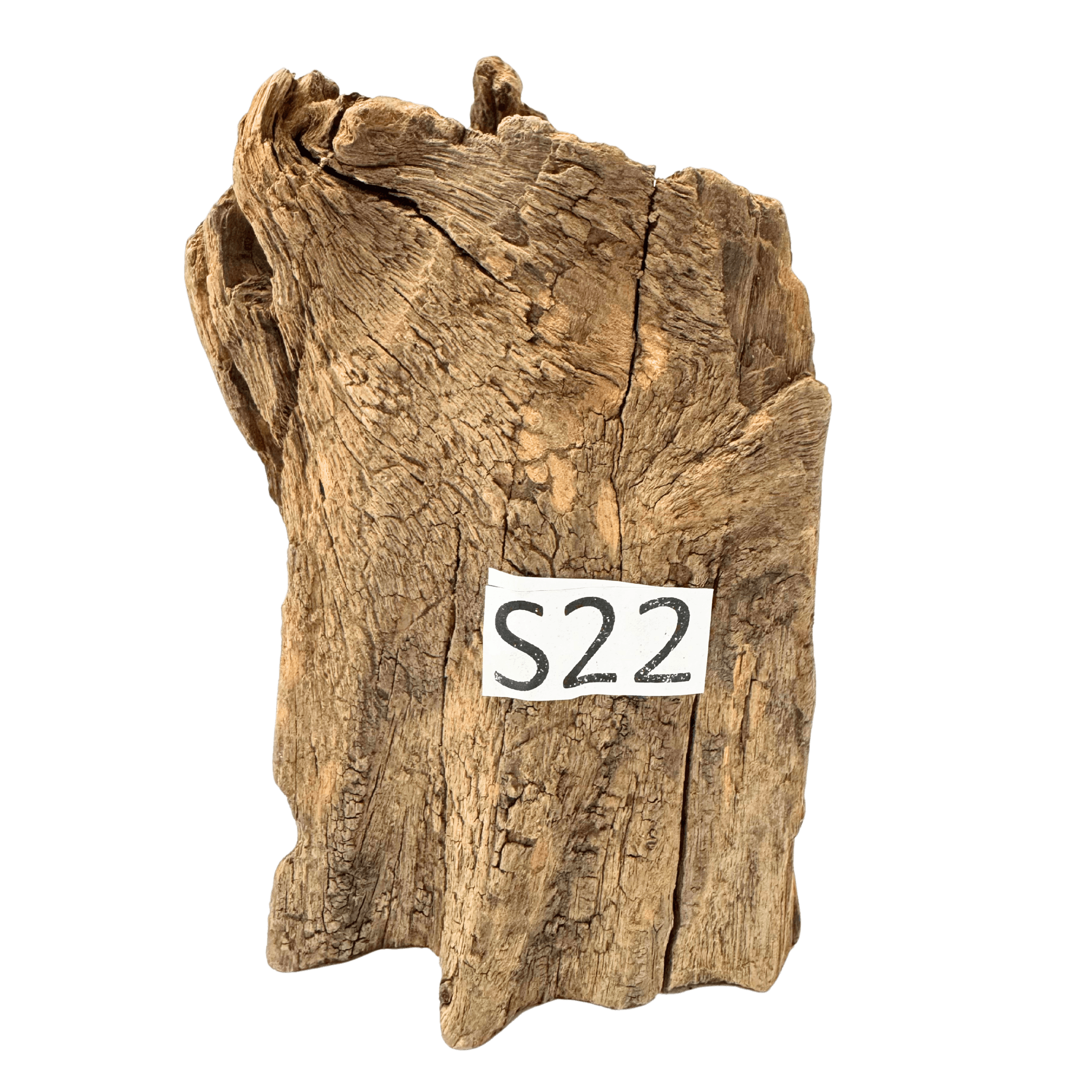 Small 22